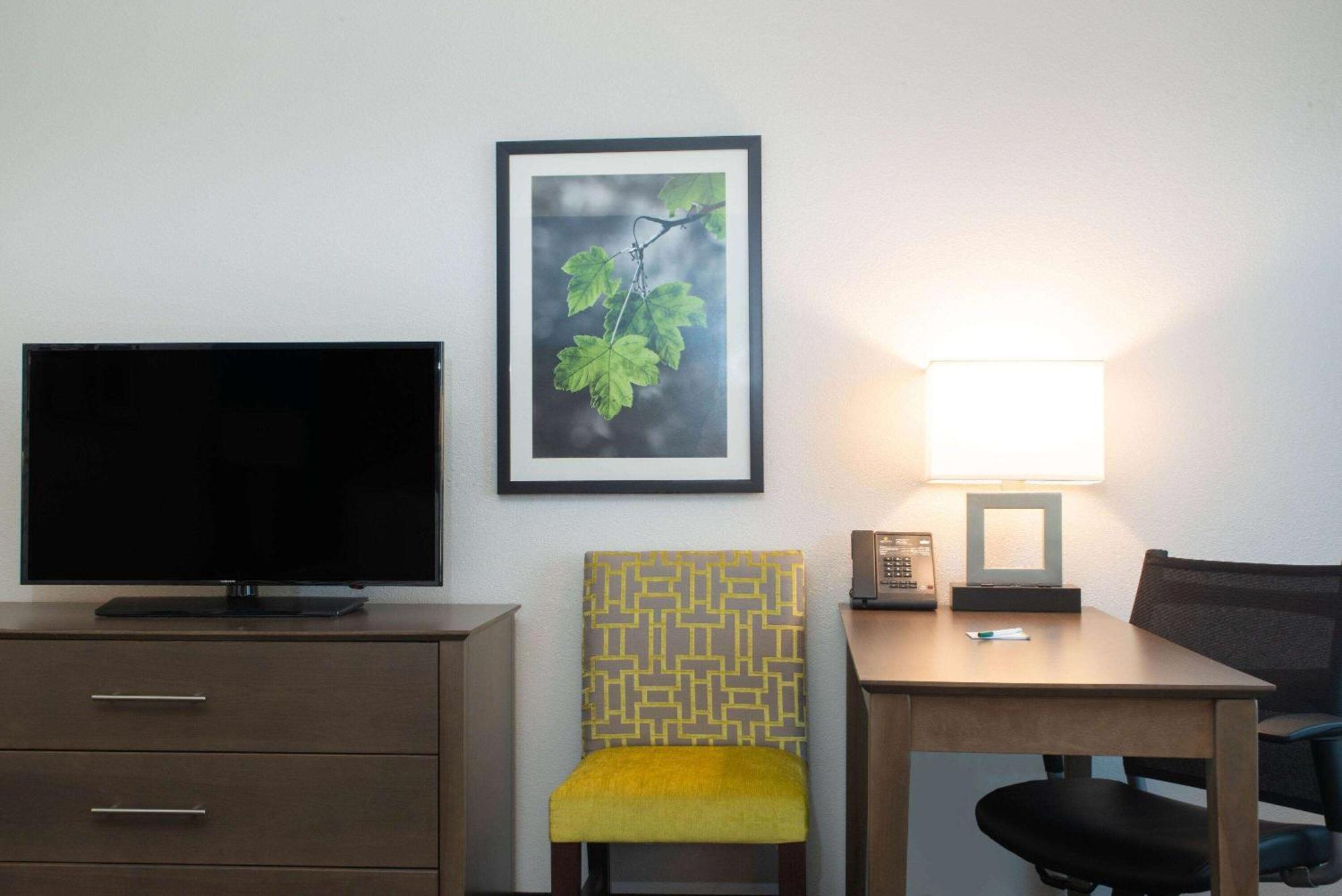 La Quinta By Wyndham Tampa Brandon Regency Park Ξενοδοχείο Εξωτερικό φωτογραφία